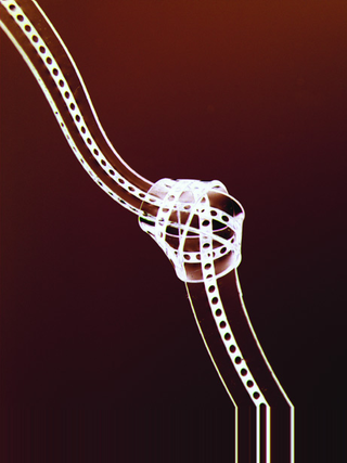 Illustration for article titled Top 5 Best Science Images of 2007 Gallery